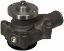 Picture of Water Pump
