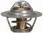 Picture of Thermostat 170 F