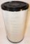 Picture of Air Filter, Primary