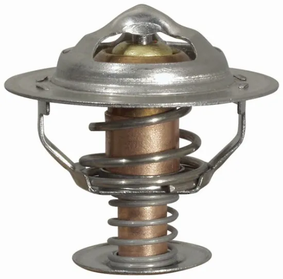 Picture of Thermostat 170 F
