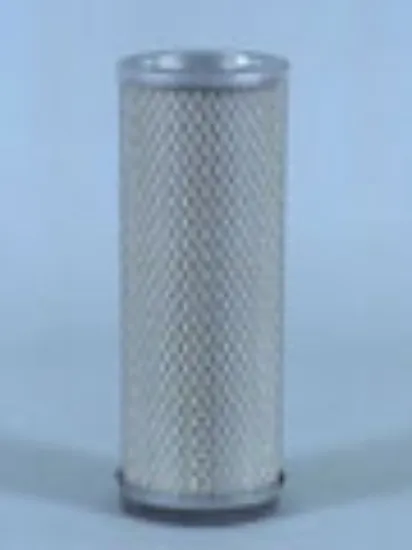 Picture of Air Filter, Secondary