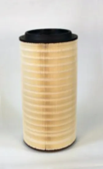 Picture of Air Filter, Primary