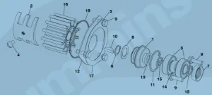 Repair Kit ( Sea Water Pump Pump-Major)