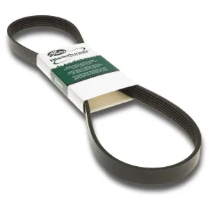 BELT SET(2).38X76 LG