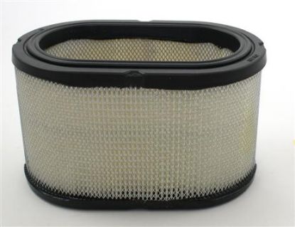 Picture of Air Filter