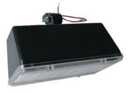 Picture of 12V Fluorescent Outdoor Flood Light