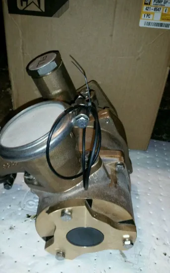 Picture of Sea Water Pump