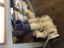 Picture of PUMP GP-AUXILIARY SEA WATER
