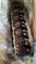 Picture of CYLINDER HEAD AS