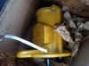 Picture of PUMP GP-GEAR