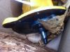 Picture of PUMP GP-GEAR