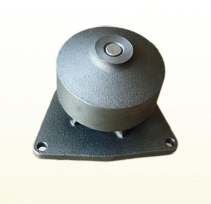 Picture of Water Pump
