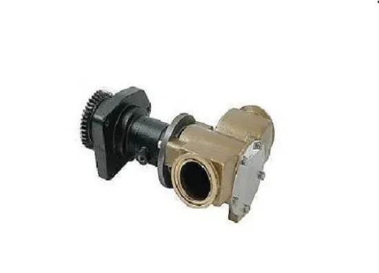 Picture of Raw Water Pump