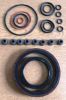 Picture of Gasket O/H Kit