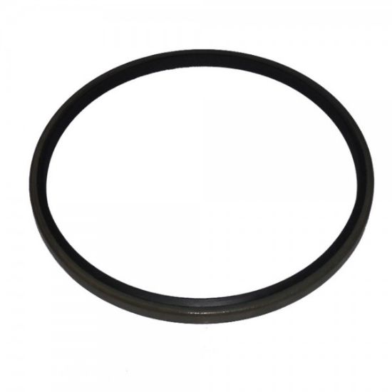 Picture of Seal Lip Type