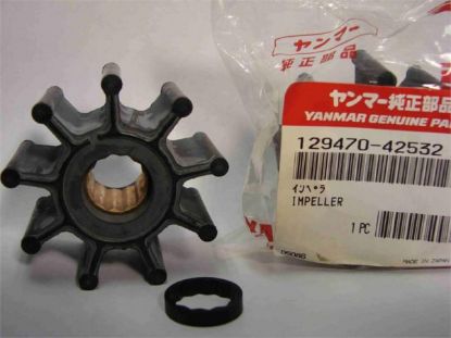 Picture of Impeller Kit