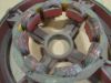 Picture of Stator Wound