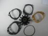 Picture of Impeller Kit