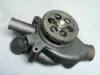 Picture of Water Pump