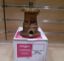Picture of Water Pump