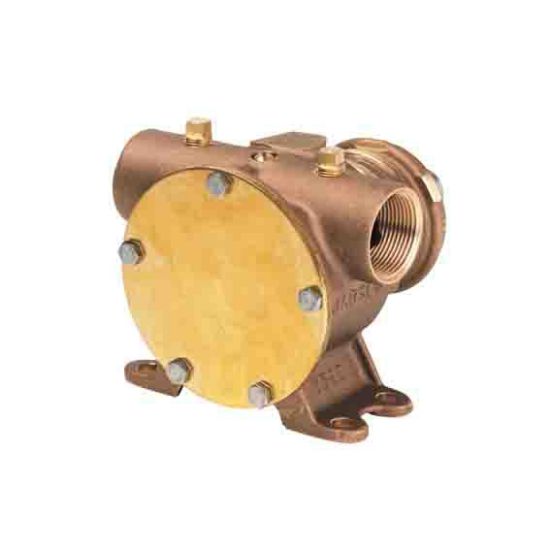 Picture of Sea Water Pump