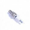 Picture of Spark Plug