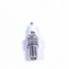 Picture of Spark Plug