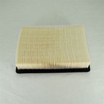 Picture of CAB AIR FILTER