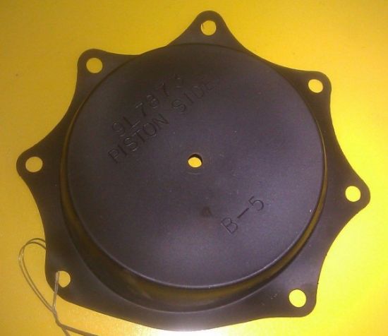 Picture of DIAPHRAGRAM