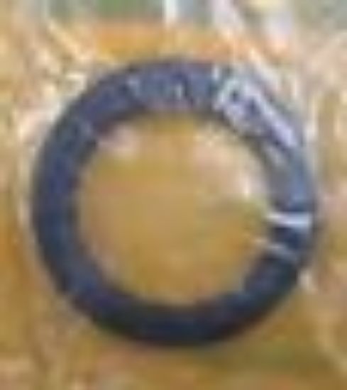 Picture of SEAL