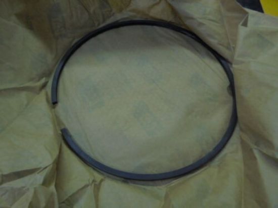 Picture of RING