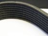 Picture of Serpentine Belt