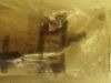 Picture of HOSE AS.-COO