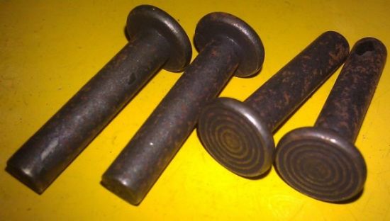 Picture of RIVET