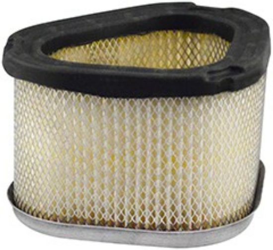 Picture of Air Filter