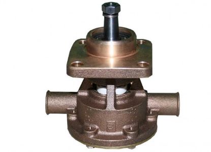 Picture of Raw Water Pump