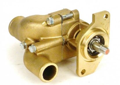 Picture of PUMP ASSY, CSW