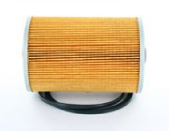 Picture of Fuel Filter Cartridge