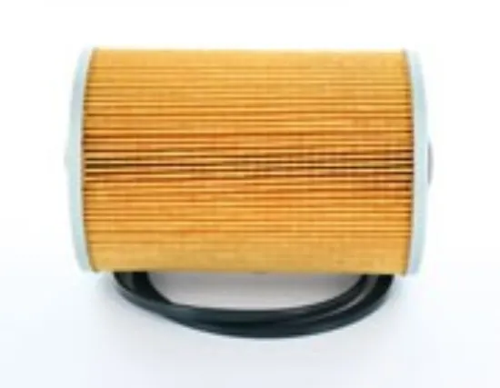 Picture of Fuel Filter Cartridge