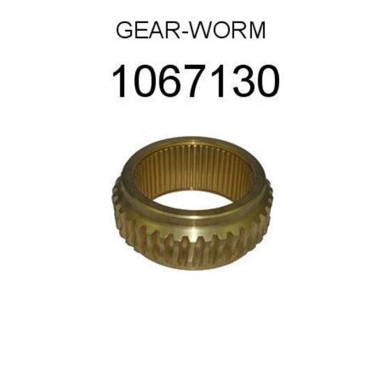 Picture of Gear Worm