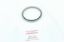 Picture of Oil Seal, Crankshaft