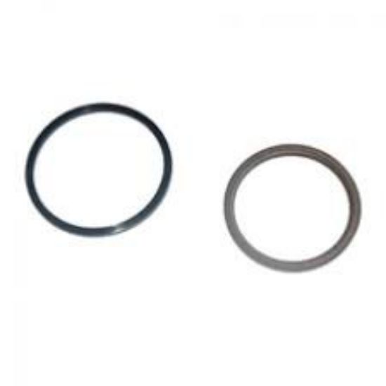 Picture of Seal