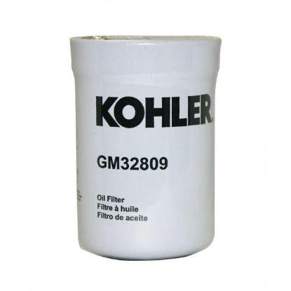 Picture of Filter, Oil (Seal is GM32787)