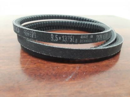 Picture of BELT