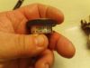 Picture of INDICATOR DI