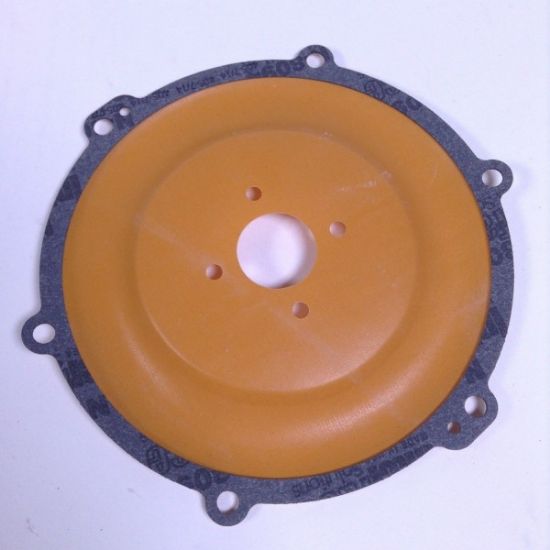 Picture of DIAPHRAGM