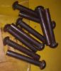 Picture of RIVET