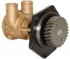 Picture of PUMP GP-AUXILIARY SEA WATER