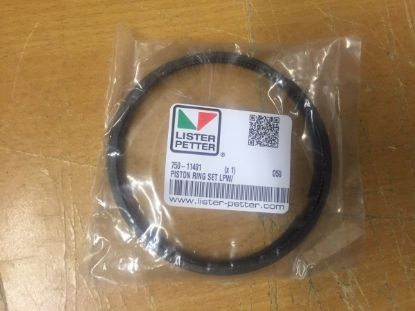 Picture of PISTON RING SET LPW/S