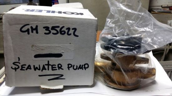 Picture of Sea Water Pump